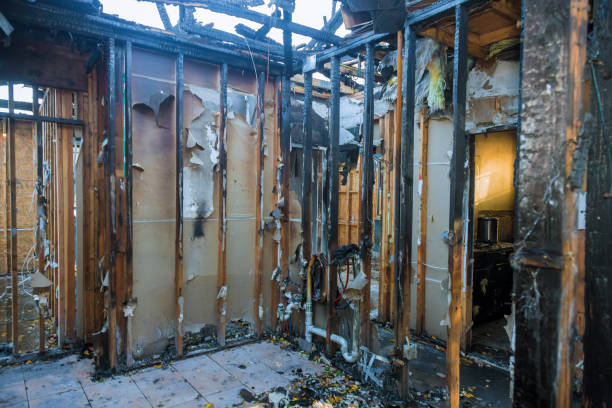 Professional Fire Damage Removal technician working in Franklin Park, NJ